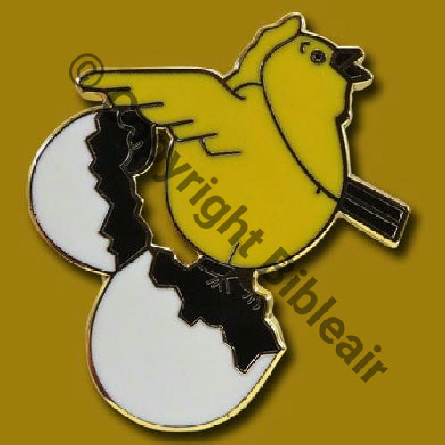 A1454  2015 BR.226 DRILLE INS ENT FALCON CIET.340 VILLACOUBLAY  FIA Sigle Tambour Dos lisse Src.P.GOUT via A.DENIS 